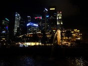 Merlion Park Singapore, night
