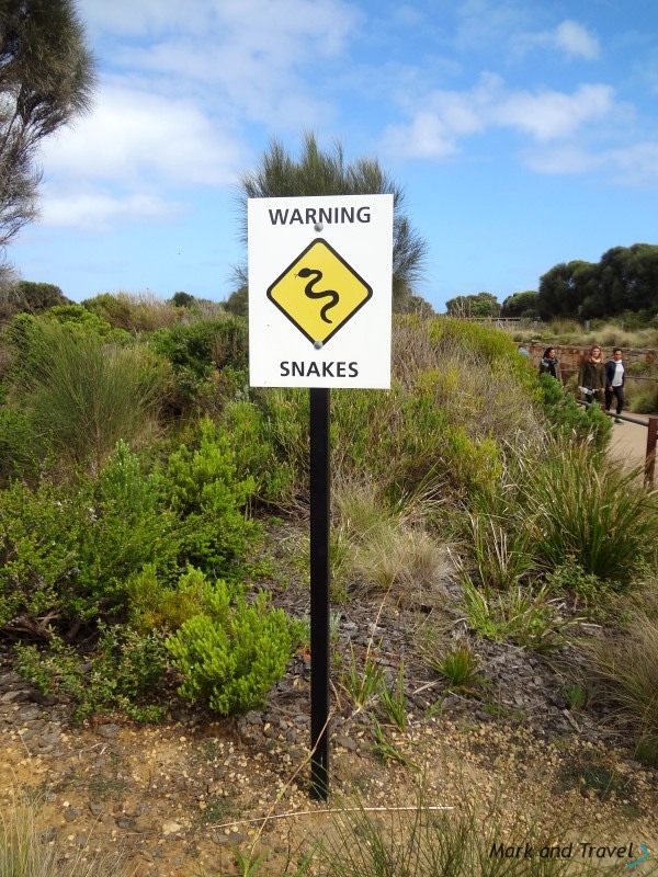 Warning Snakes, Australia
