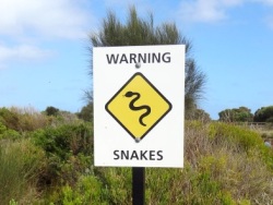 Warning-Snakes-Australia 250px